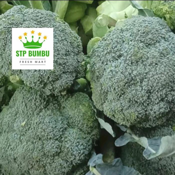 

Pilihan- Sayur Brokoli Segar Fresh Murah 1 Kg - Grosir