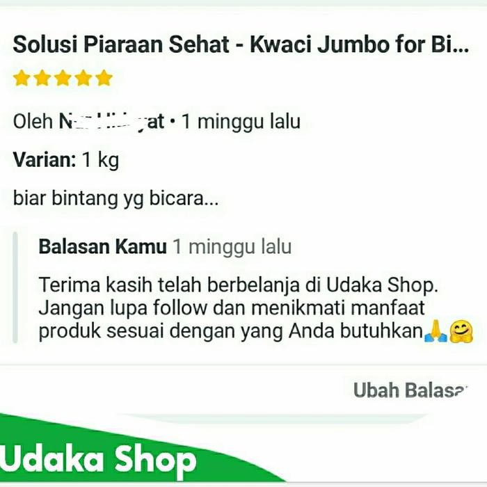 Makanan Burung - KUACI JUMBO MENTAH