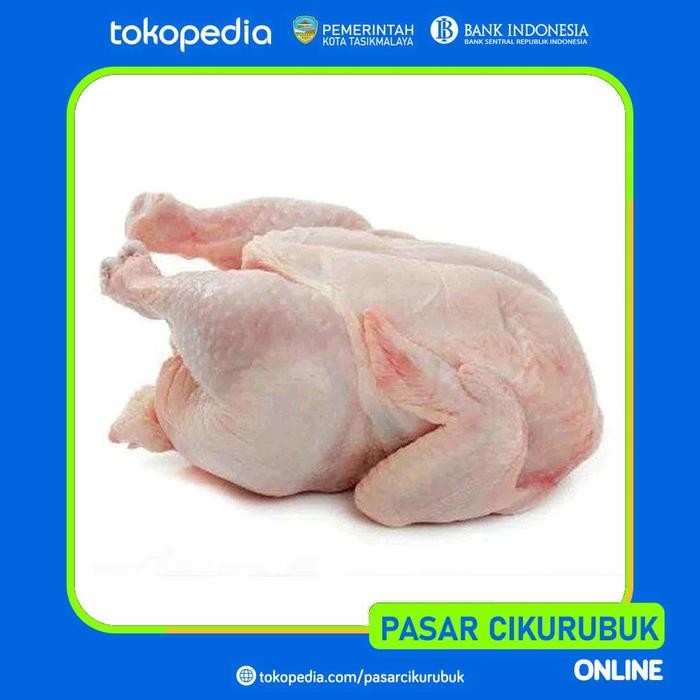 

Pilihan- Ayam - Daging Broiler