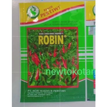 Stok Baru Benih cabe ROBIN 5 gram cabai rawit hijau hibrida dari benih pertiwi Tanaman