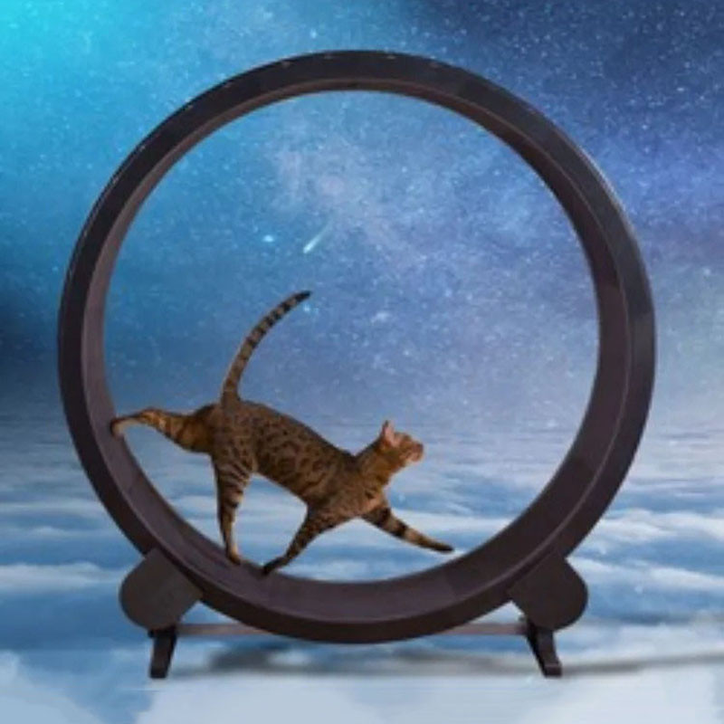 Cat Running Exercise Wheel Treadmill Indoor Silent Pet Toys Exercise Wheel Cat Exercise Supplies Cat