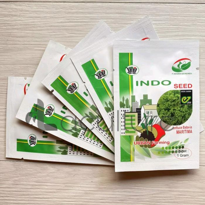 TERBATAS benih eceran isi 100 butir bibit selada maritima indo seed