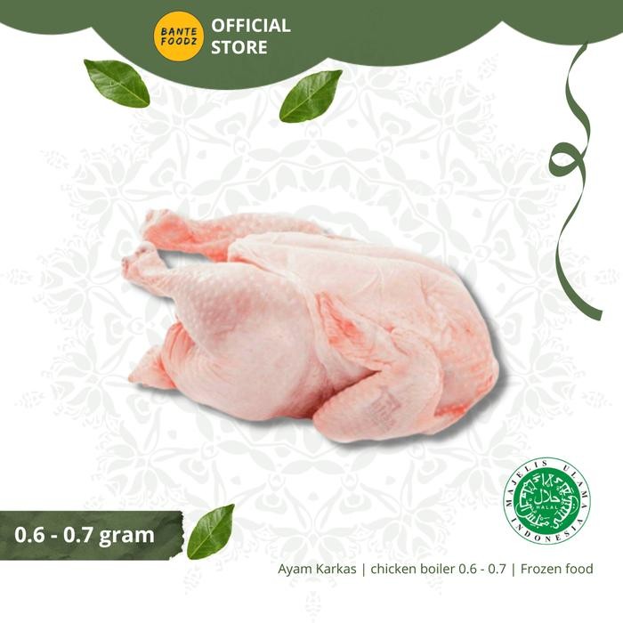

Pilihan- Ayam Karkas Broiler Ayam Potong Utuh 0.6-0.7 Kg