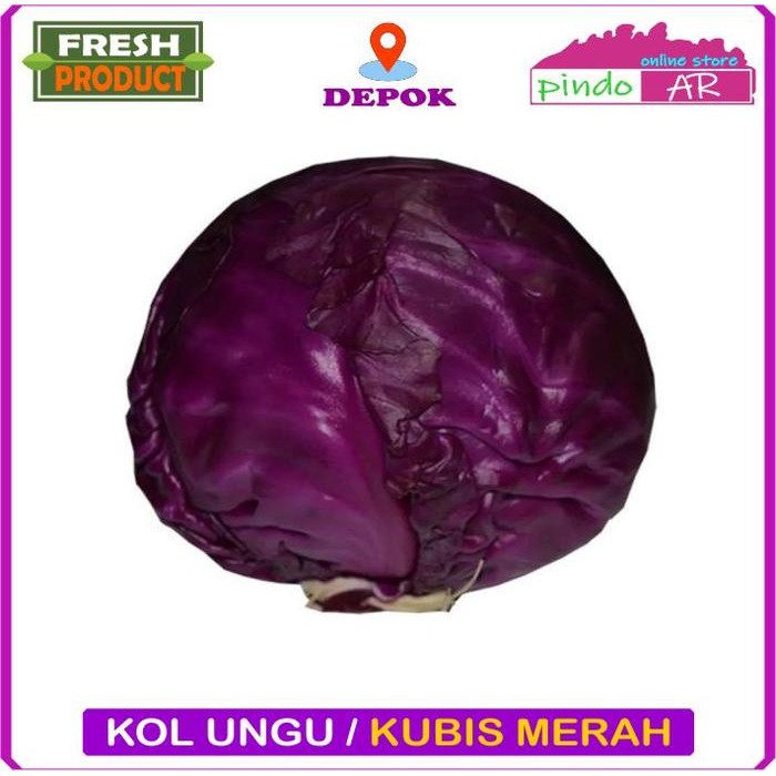 

Pilihan- Kol Ungu / Kol Merah / Kubis Ungu/ Kubis Merah/ Red Cabbage 1Kg