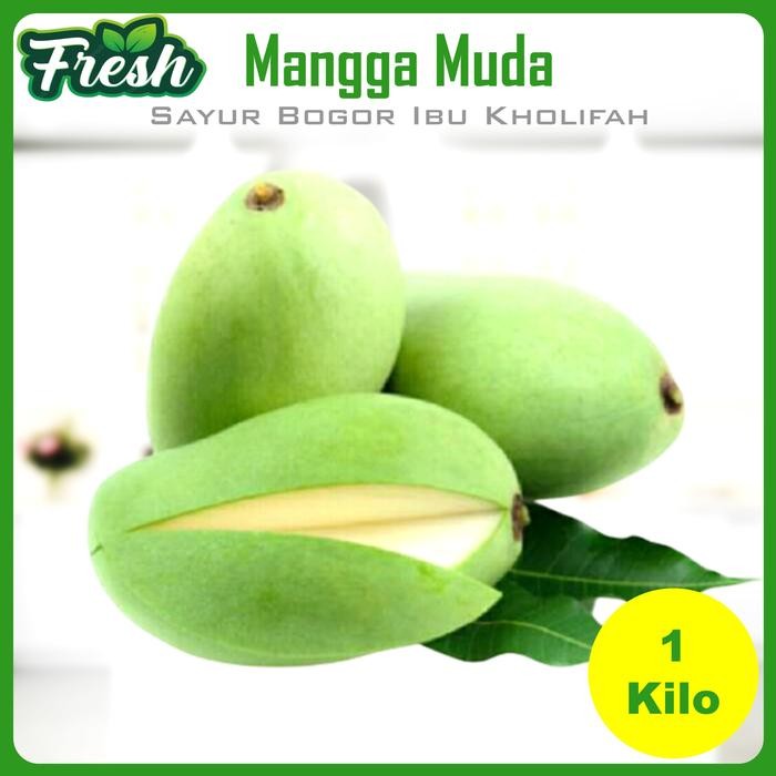 Pilihan- Mangga Muda Mangga Rujak 1Kg Buah Segar Bogor