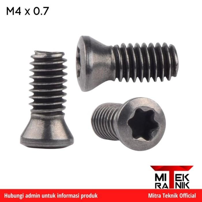 baut holder bubut - baut facemill - baut insert M4 x 0.7 x 10