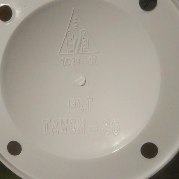 pot tawon 30