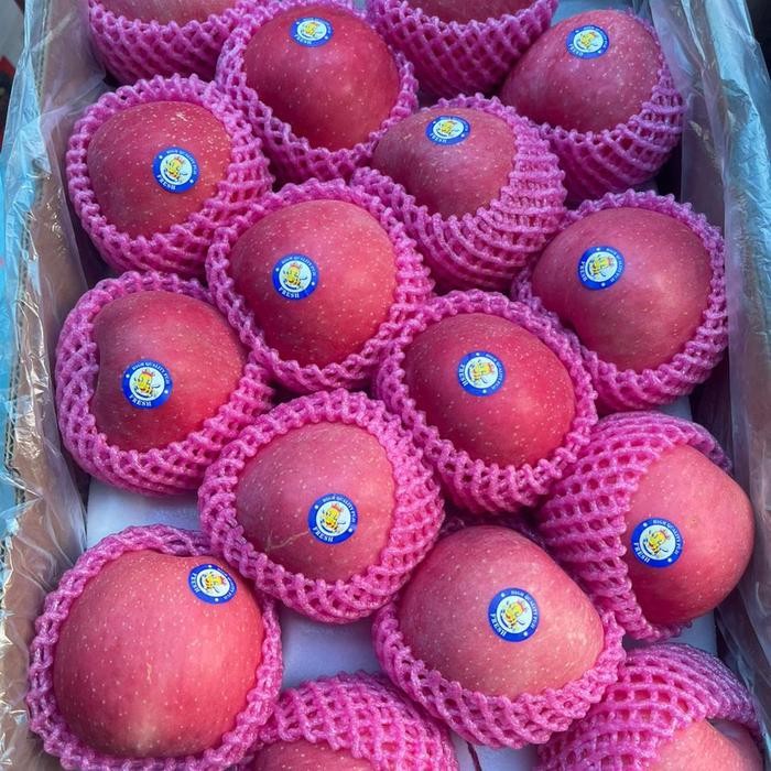 SegArRr- Apel Fuji Apel Apel Premium Apel Fuji Premium - 1Kg