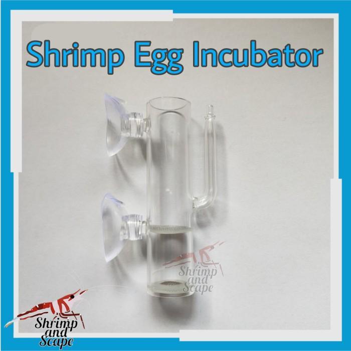 Inkubator Telur Udang Artemia Cacing - Alat Penetas Telur Udang Hias Air Tawar