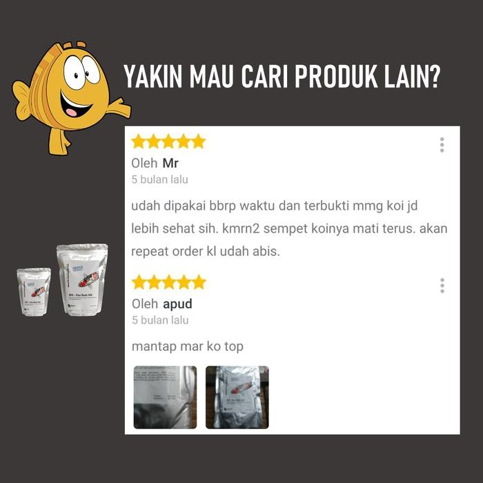 CLAY KOI - PENJERNIH KOLAM KOI / CLAY BASIC (MURNI CLAY)