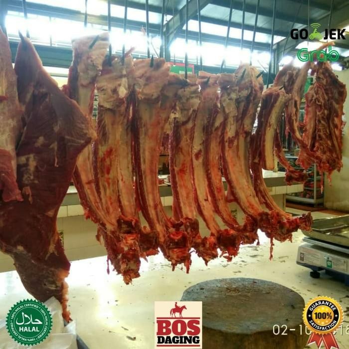 

Pilihan- Tulang Iga Bakar 1Kg Daging Tebal Sapi Dijamin Fresh Segar