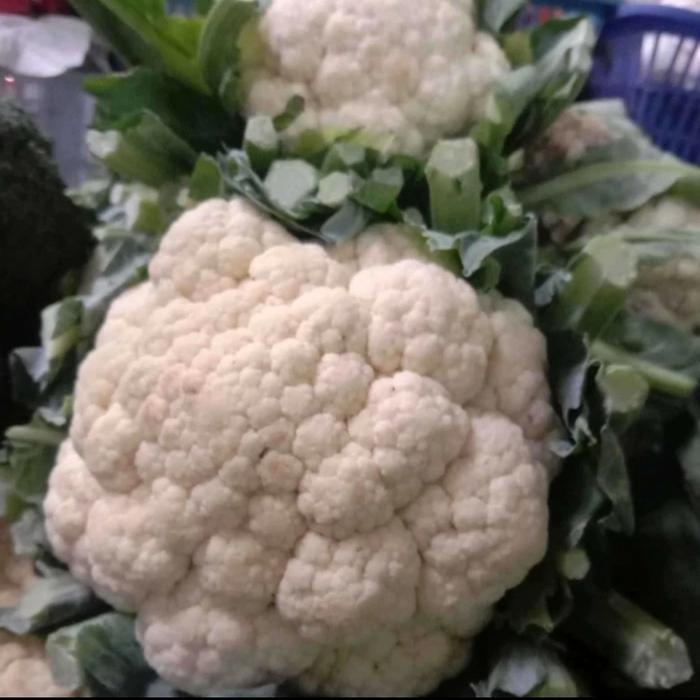 

Pilihan- Kembang Kol Sayuran Segar Fresh 1 Kg
