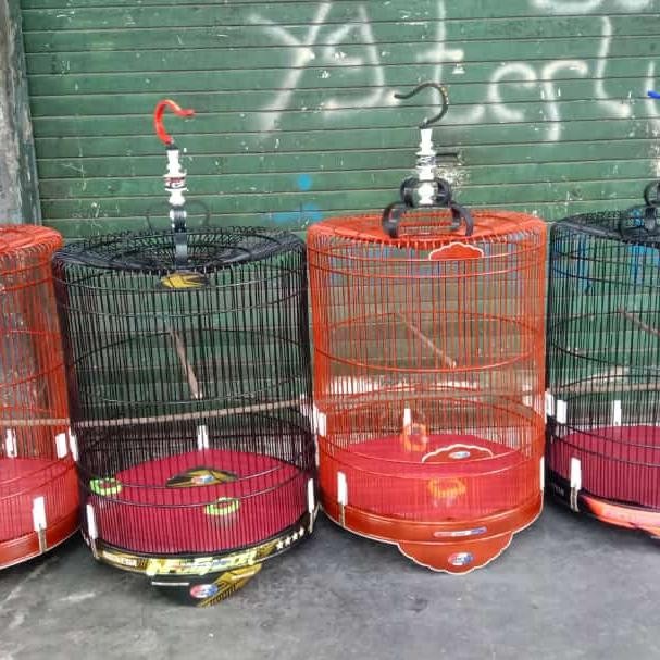 sangkar/kandang burung murai rafi jaya no 3 aklirik( /)