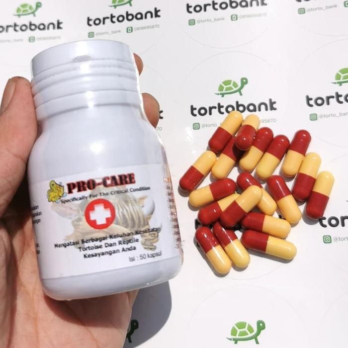 Procare Obat Pilek Kura Obat Kura Obat Napsu Makan Kura Obat Reptil