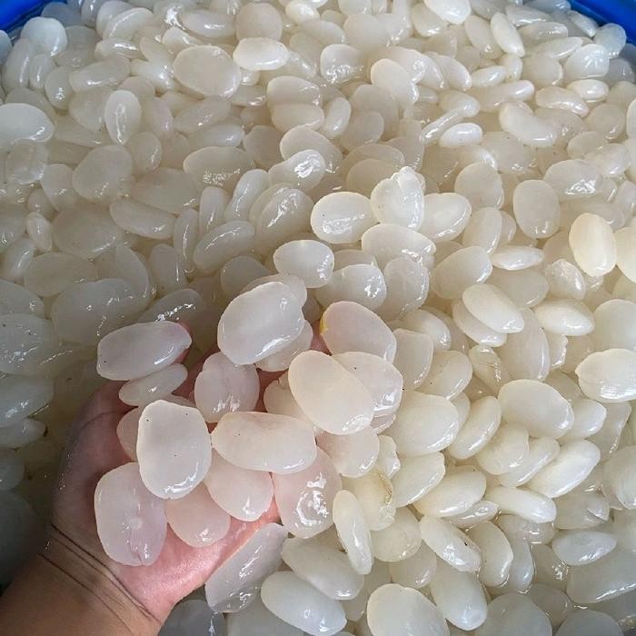 instanChatsaja- Kolang Kaling Asli Original Lokal