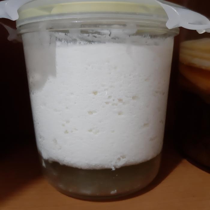 GRAIN KEFIR SUSU / KEFIR SUSU /BIBIT KEFIR UNTUK PEMULA,10GRM