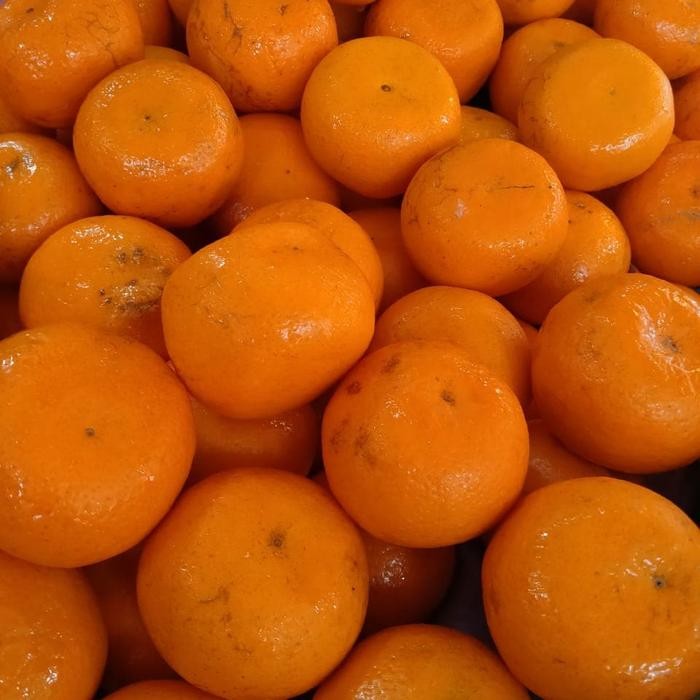 BebasOngkiirr- Jeruk Mandarin Kino Segar