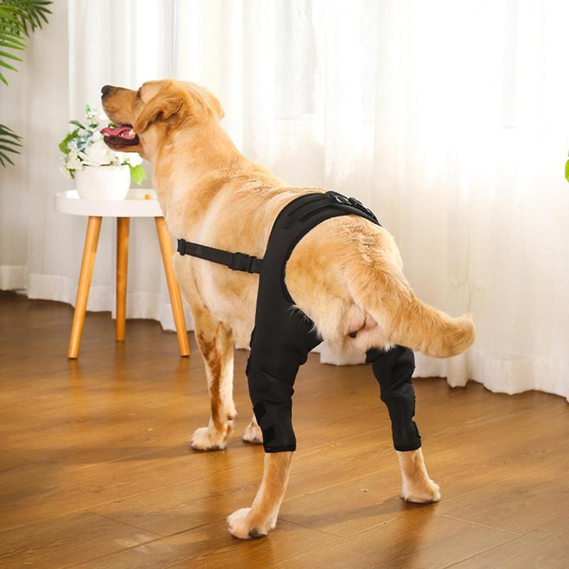 Dog Recovery Sleeve Dog Hip Brace Support Pet Leg Wound Protection Hip Support Wound Protection Pet