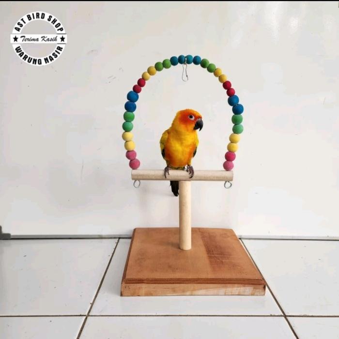 Stand Tangkringan Burung Sunconure Cockatiel
