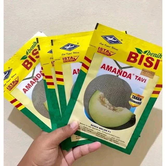 Juwara_Syatu Benih Melon Amanda Tavi F1 Tahan Asli Pabrik Cap Kapal Terbang Tahan Virus Gemini