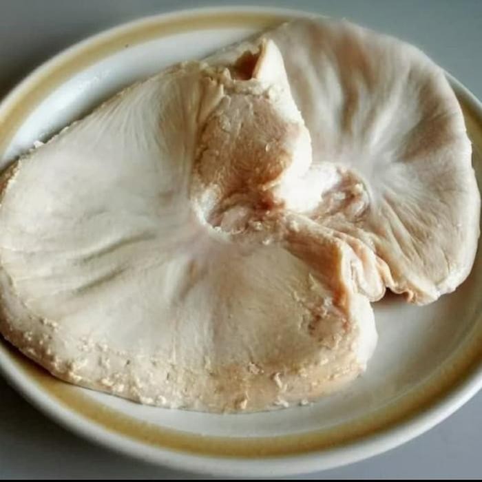 

Pilihan- Tito Babi/Cutu /Lambung Babi Non Halal Premium Quality Untuk Hotel Restoran Cafe