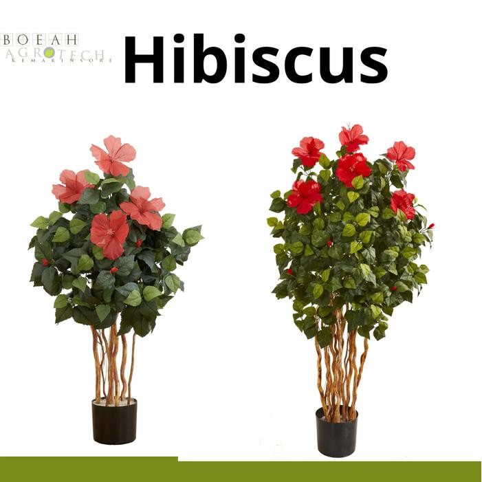 Hibiscus Artificial Jumbo isi 4 free 1 Bagus dan Awet