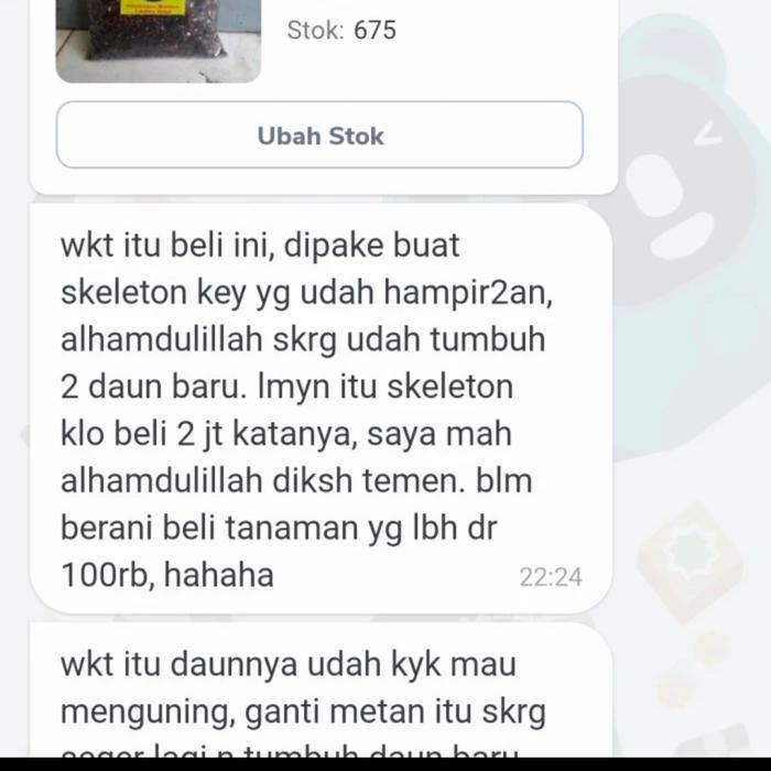 Media tanam ajaib 5 kg, metan aglonema, metan varigata, metan premium