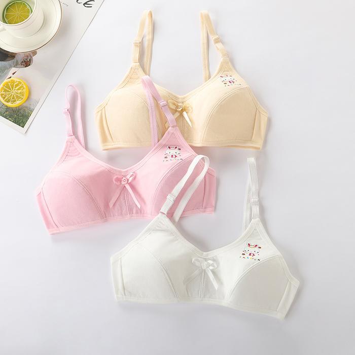 [PROMO] BRA BH ANAK CEWEK STEP 2 PAKAIAN DALAM MINISET KAIT KANCING TEBAL 824