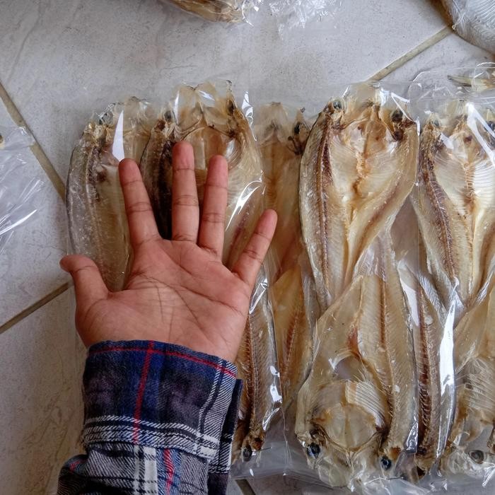 

Murah Ikan Asin Tipis Besar /Ikat Isi 4