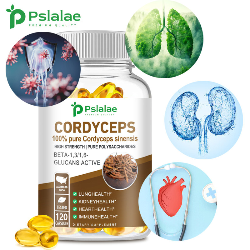 IMPORT CORDYCEPS SINENSIS 100% PURE CORDYCEPS SINENSIS EXTRACT - IMPROVE IMMUNITY - HIGH STRENGTH,
