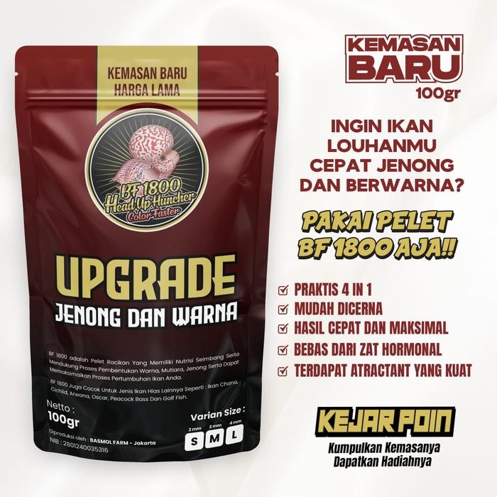 PELET BF 1800 & BF 800 STRONG COLLOR WARNA BIG HEAD KOK PAKAN LOUHAN