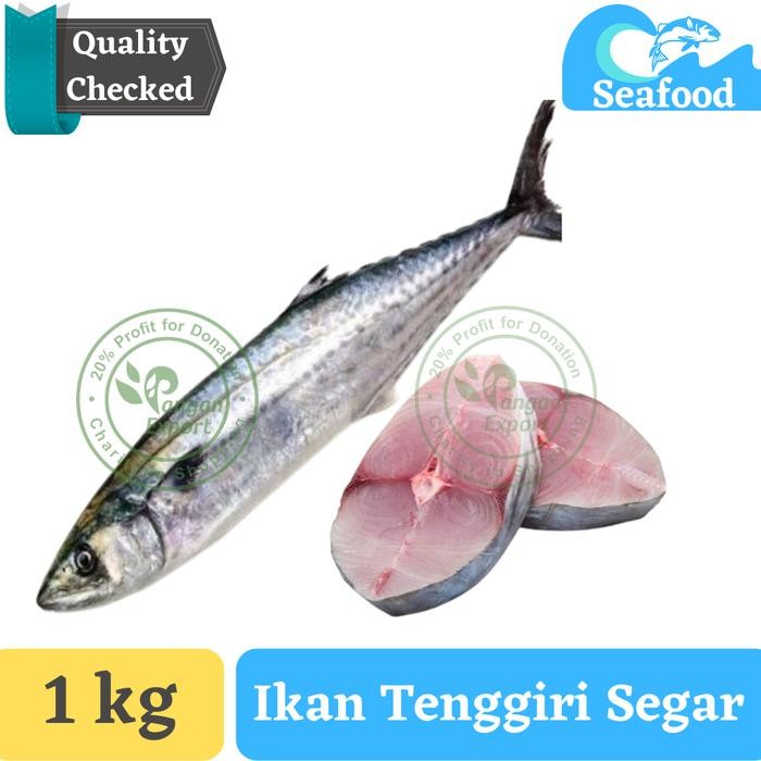 Instanbisa- Ikan Tenggiri Segar , Ikan Tenggiri Fresh