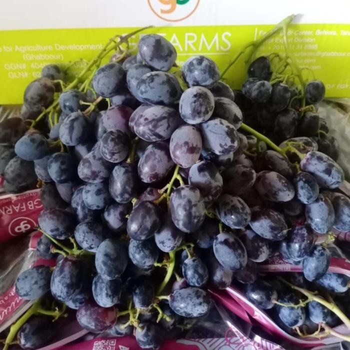 SegArRr- Anggur Autumn Australia Manis/1Kg