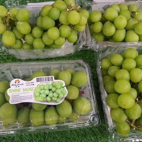 Fruitsz- Anggur Muscat 500Gram