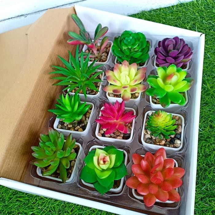 kaktus latex kaktus SUKULEN bunga plastik artificial dekorasi rumah