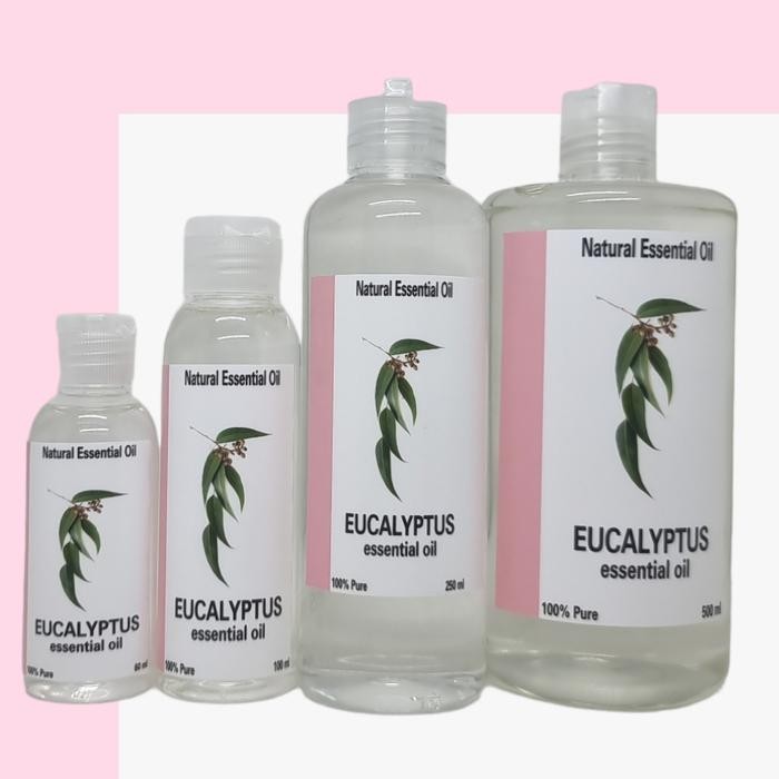 eucalyptus essential oil eucalyptus oil essential eucalyptus