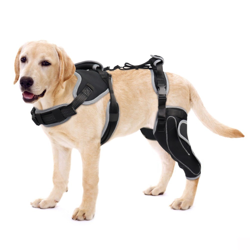 Reduces Pain Hind Leg Dog Leg Brace Dog Leg Protectors Dog Knee Rehabilitation Belt Dog ACL Brace