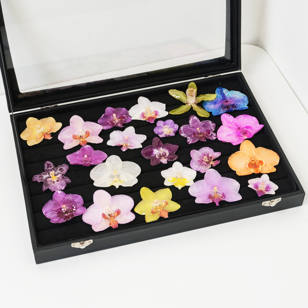 "Resin Coated Natural Dried Phalaenopsis Orchid Flowers - DIY Craft Supplies for Jewelry Making