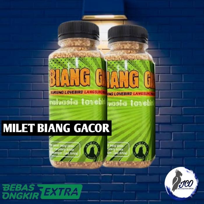 MILET BIANG GACOR LOVEBIRD PAKAN BURUNG LOVEBIRD MILET GACOR