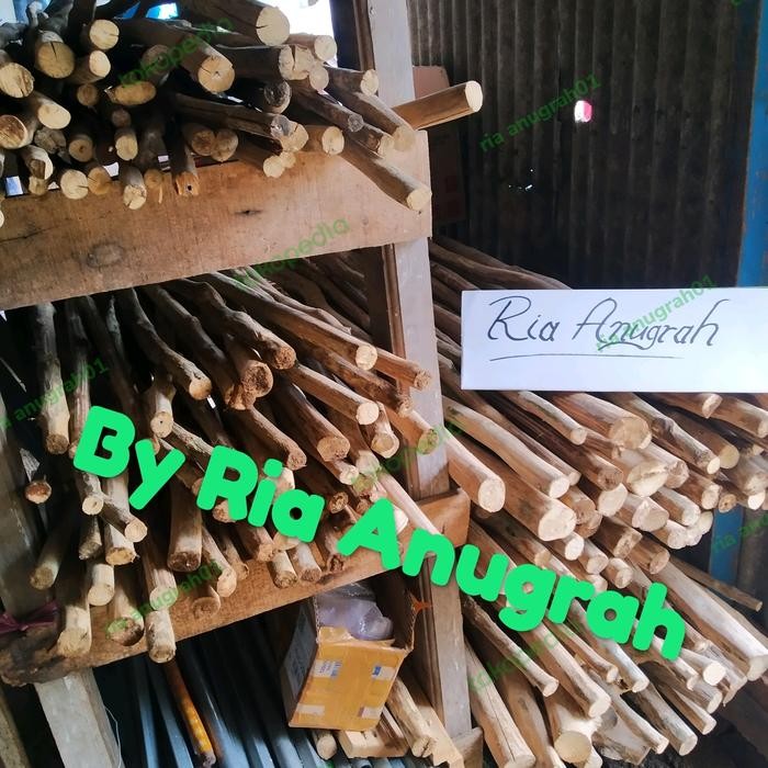 Tangkringan kayu kopi / tangkringan macaw