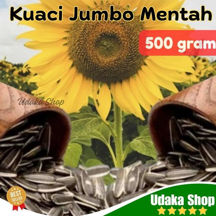 Pilihan- Makanan Burung - Kwaci Jumbo Mentah