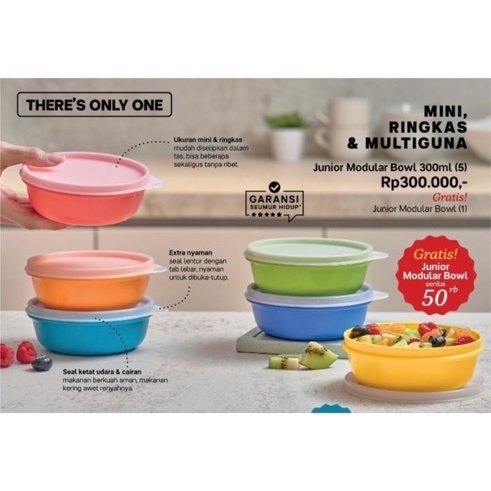 Tupperware Tempat makan Anak Perlengkapan MPASI Bayi