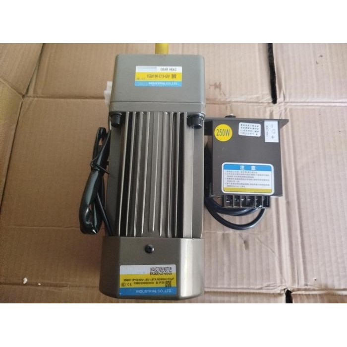 AC motor gearbox 220V 250W Variable Speed Control 1 Phase