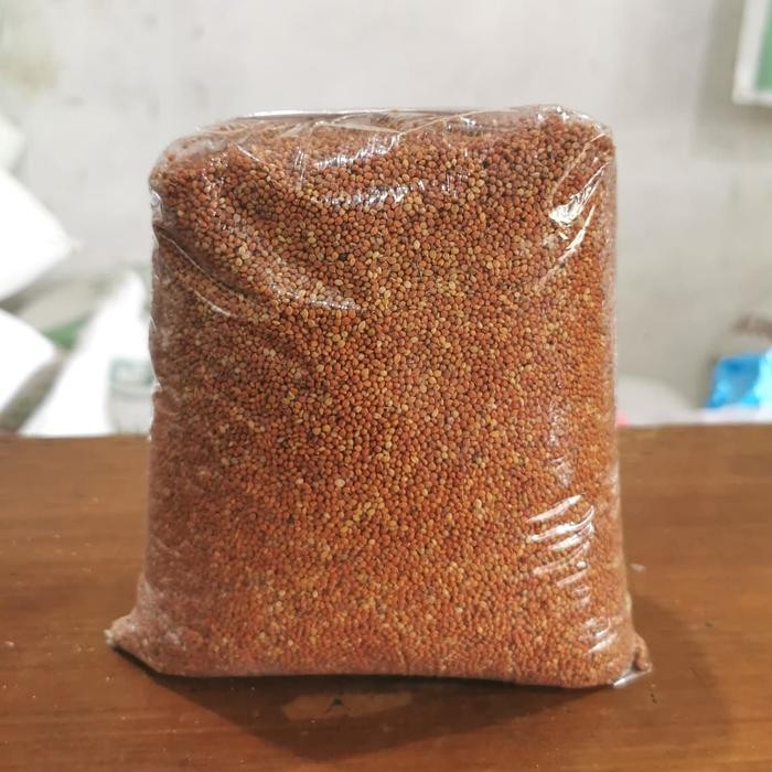 ces0- Jewawut / Jawawut / Kunyit Pakan Burung