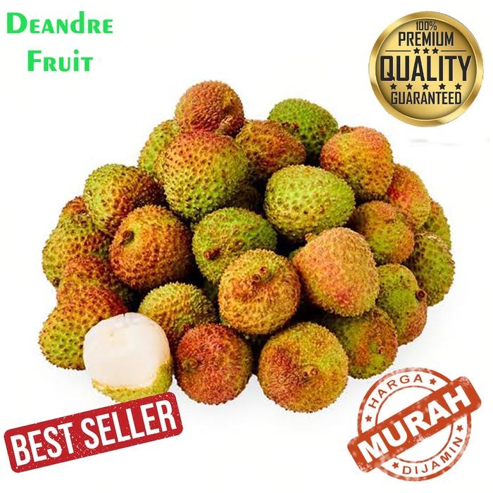 SegArRr- Grosir Murah 1Kg Lychee Tanpa Biji Buah Leci Madu Lecy Hijau Import