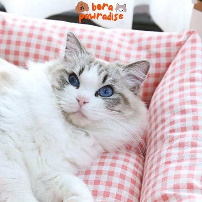 Kasur Kucing Jumbo / Kasur Anjing Besar Jumbo / Tempat Tidur Kucing / Tempat Tidur Anjing / Ranjang