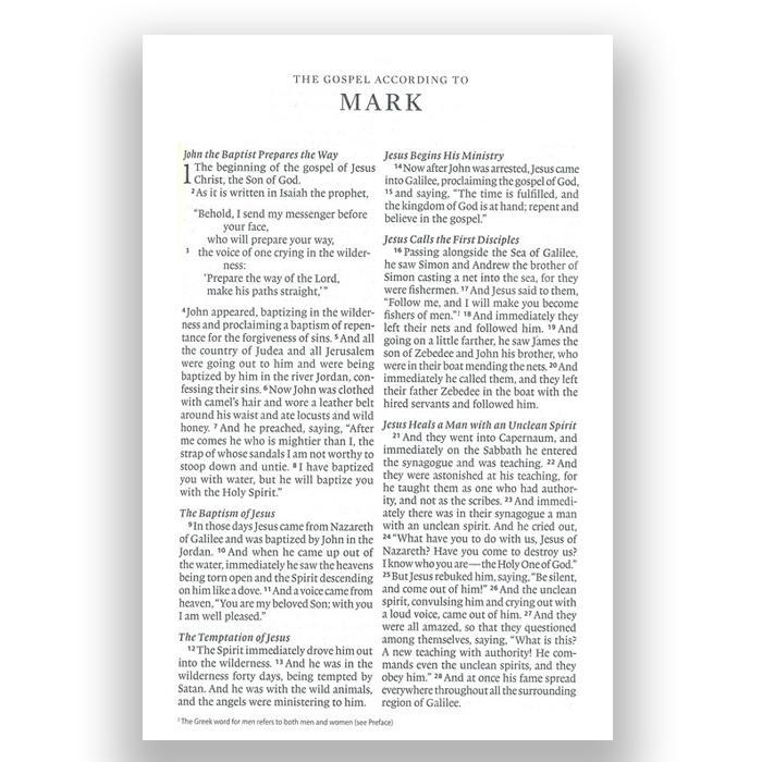 TERLARIS ESV Economy Bible Large Print Paperback
