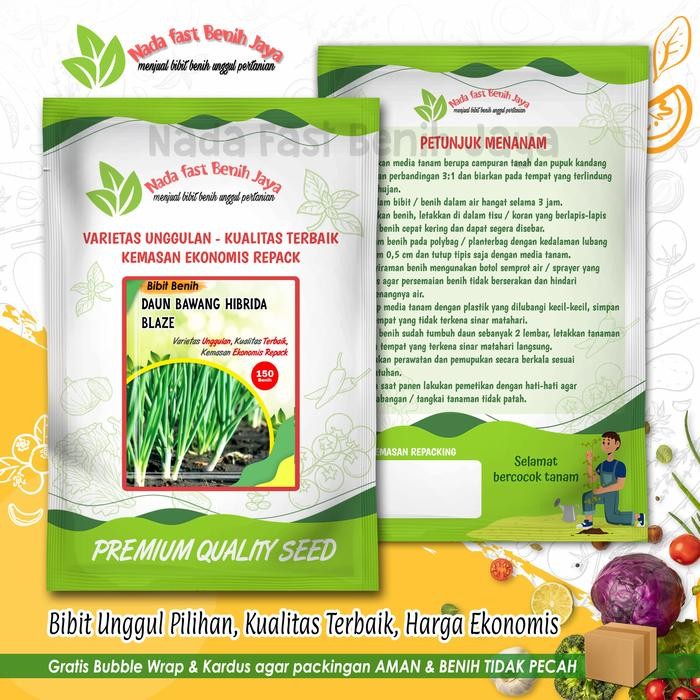 KOMPLIT Benih Daun bawang hibrida BLAZE panah merah