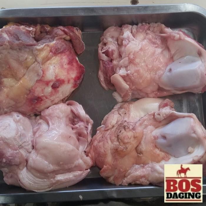 

Pilihan- Dengkul Sapi Untuk Sop Rawon Dijamin Fresh Segar