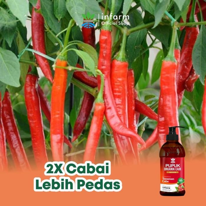 INFARM - INFARM Pupuk Organik Cair Tanaman Cabai 500mL POC Kompos pupuk organik cair